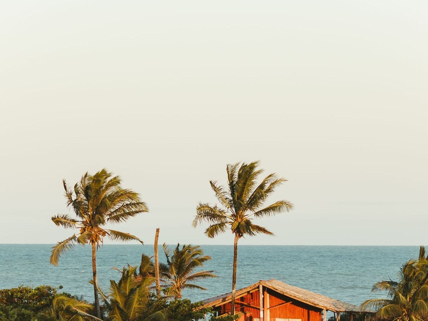 Salt Air, Sand & Humidity: Keeping a Coastal Home Clean in Sarasota